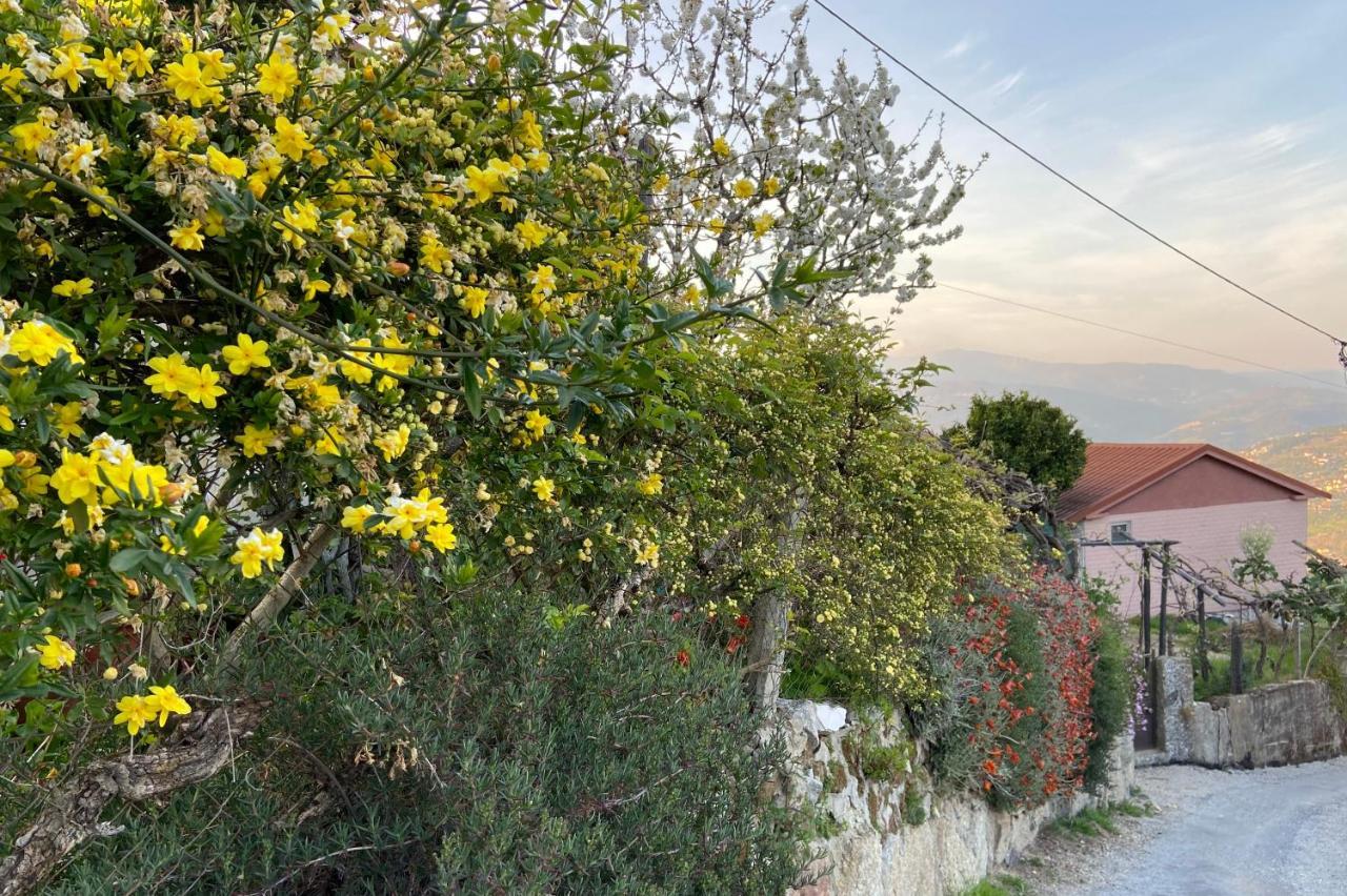 Holiday home Da Ribeirinha Carquere