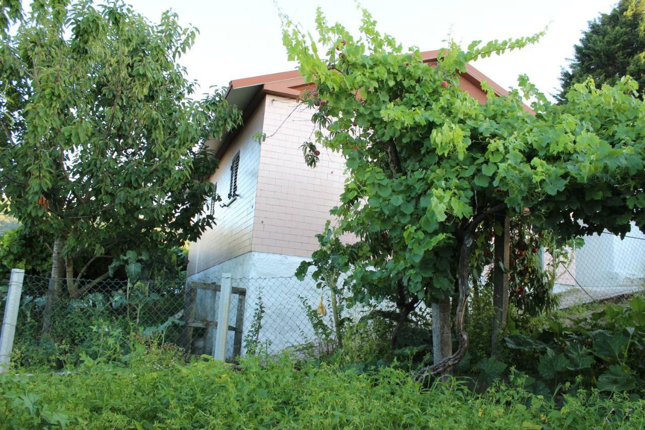 Holiday home Da Ribeirinha *